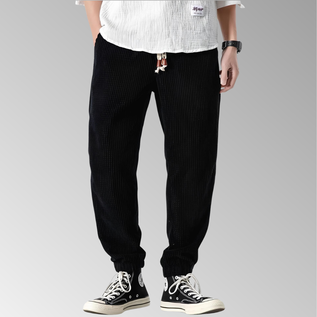 Ramiro | Pantalons en velours modernes