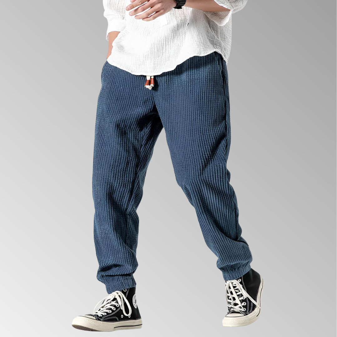 Ramiro | Pantalons en velours modernes